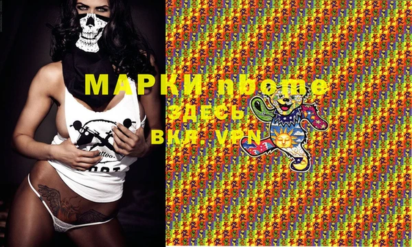 соль ск Тайга