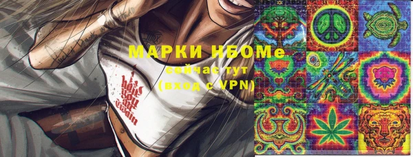твердый Вяземский