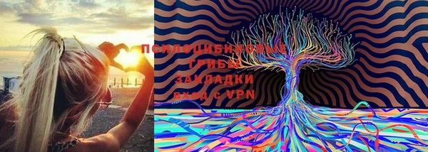 ешки Верея