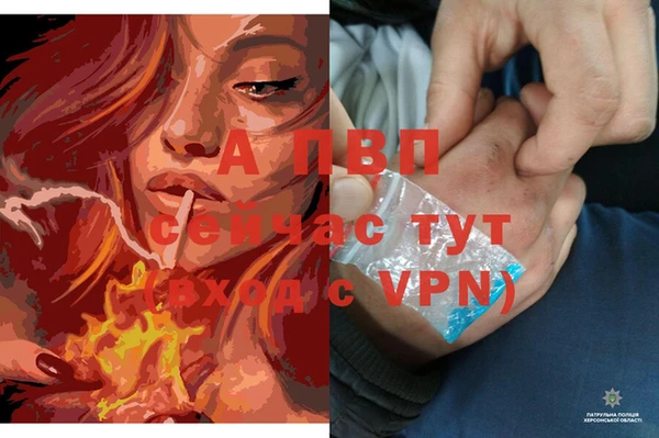 ешки Верея