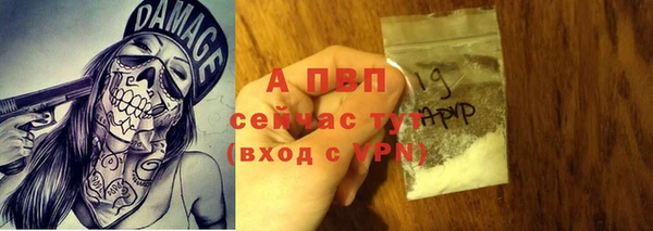 соль ск Бородино
